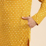 Anouk Men Ethnic Motifs Printed Mandarin Collar Pure Cotton Kurta