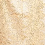 KALINI Woven Design Banarasi Saree With Blouse Piece