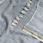 Suta Embellished Zari Pure Cotton Saree