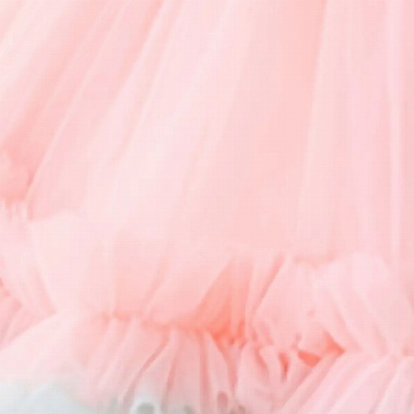 BAESD Girls Ruffled Net Fit & Flare Dress