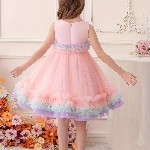 BAESD Girls Ruffled Net Fit & Flare Dress