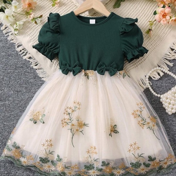 Girls Floral Print Embroidered Fit & Flared Dress