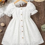 BAESD Girls Square Neck Schiffli Empire Dress