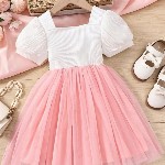 BAESD Flutter Sleeve Net Puff Sleeves Fit & Flare Dress