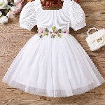 BAESD Girls Embellished Square Neck Short Puff Sleeve Net Fit & Flare Dress