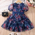 Miss & Chief Embellished Crepe A-Line Dress