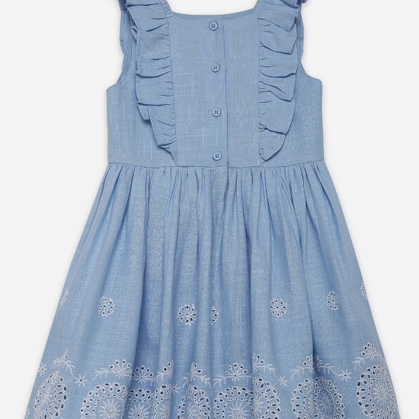 Ed-a-Mamma Girls Schiffli Embroidered Fit & Flare Dress