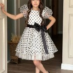 Miss & Chief Girls Polka Dot Print Net Fit and Flare Dress