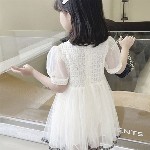 StyleCast x Revolte Puff Sleeve Fit & Flare Dress