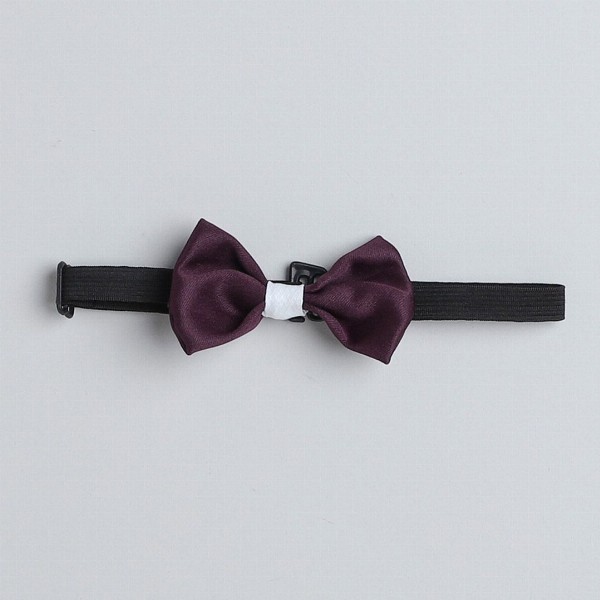 BAESD Boys 3-Piece Suit